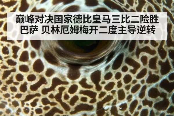 巅峰对决国家德比皇马三比二险胜巴萨 贝林厄姆梅开二度主导逆转